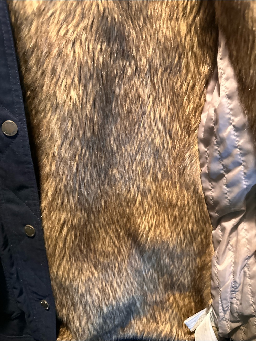 Hollister Navy Jacket - Picture 3 of 7